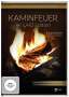 Simon Busch: Kaminfeuer UHD Edition, DVD