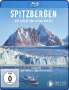 Silke Schranz: Spitzbergen - auf Expedition in der Arktis (Blu-ray), BR