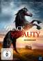 Daniel Zirilli: Black Beauty (2015), DVD