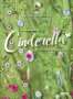 Alma Deutscher: Cinderella, DVD