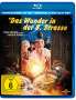 Matthew Robbins: Das Wunder in der 8. Strasse (Blu-ray), BR