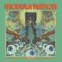 „MODULA NATION“ oben, „THE RIFT“ unten. Surreale Illustration mit vielen Augen und einem zentralen Riss., LP
