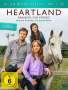 Dean Bennett: Heartland - Paradies für Pferde Staffel 9 Box 1, DVD,DVD,DVD