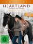 Dean Bennett: Heartland - Paradies für Pferde Staffel 11 Box 2, DVD,DVD,DVD