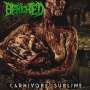 Benighted: Carnivore Sublime (180g) (Limited Numbered Edition) (Red/Black Splatter), LP