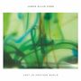 Oben steht "JAMES ELLIS FORD", unten "LOST IN ANOTHER WORLD". Bunte, weiche Farbmuster in Grün, Blau und Gelb., CD