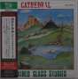 Cathedral: Stained Glass Stories (SHM-CD) (Papersleeve), CD
