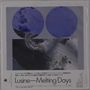 Text: "Lusine—Melting Days." Zwei blaue Kreise und darunter abstrakte schwarz-weiße Texturen., CD