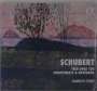 Franz Schubert: Klaviertrios Nr.1 & 2, CD