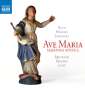 : Ave Maria - Madonna Mystica, CD