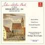 Johann Sebastian Bach: Messen BWV 233-236 (Lutherische Messen), CD,CD