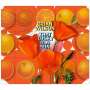 Brian Wilson: That Lucky Old Sun (CD + DVD), CD,CD