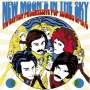 : New Moon's In The Sky: The British Progressive Pop Sounds Of 1970, CD,CD,CD