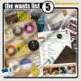 : The Wants List Vol.5 (30th Anniversary Of Soulful Rare Grooves), CD