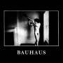 Bauhaus: In The Flat Field, CD