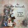 The Raincoats: Looking In The Shadows, CD