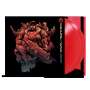 Kevin Riepl: Gears Of Wars (remastered) (180g) (Red Vinyl), LP,LP