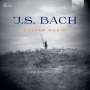 Johann Sebastian Bach: Transkriptionen für Gitarre (180g), LP,LP