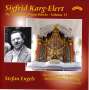 Sigfrid Karg-Elert: Orgelwerke Vol.13, CD