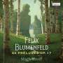 Felix Mikhailovich Blumenfeld (1863-1931): Preludes op.17 Nr.1-24, CD