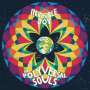 The Polyversal Souls: Invisible Joy, CD