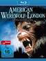 John Landis: American Werewolf (Special Edition) (Blu-ray), BR
