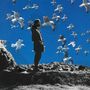 Ein Mann steht auf einem Felsen, umgeben von fliegenden Möwen, vor einem klaren blauen Himmel., CD
