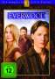 Everwood Season 3, 5 DVDs