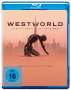 : Westworld Staffel 3 (Blu-ray), BR,BR,BR