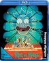 Text: "Rick and Morty Staffel 9", "vorläufige Abbildung", "FSK ab 16 beantragt", "[adult swim]".  
Illustration: Figuren auf Plattform in Lava.
