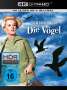 Alfred Hitchcock: Die Vögel (Ultra HD Blu-ray & Blu-ray), UHD,BR