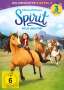 : Spirit - Wild und Frei - Die komplette Staffel 3, DVD,DVD,DVD