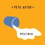 Pete Astor: Split Milk, CD