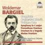 Woldemar Bargiel (1828-1897): Sämtliche Orchesterwerke Vol.1, CD