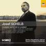 Josef Schelb (1894-1977): Kammermusik mit Klarinette, CD