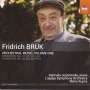 Fridrich Bruk (geb. 1937): Orchesterwerke Vol.1, CD