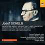 Josef Schelb (1894-1977): Orchesterwerke Vol.2, CD