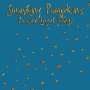 The Smashing Pumpkins: Bruised Angel Wings: Live 1993, CD
