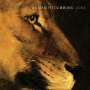 William Fitzsimmons: Lions, CD