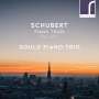 Franz Schubert: Klaviertrios Vol.1, CD