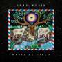 Khruangbin: Hasta El Cielo (Con Todo El Mundo In Dub), CD