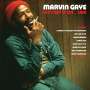 Marvin Gaye: Let's Get It On Live (180g) (Red Vinyl), 2 LPs