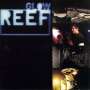 Reef: Glow (Transparent Blue), LP