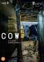 Andrea Arnold: Cow (2021) (UK Import), DVD