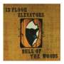 The 13th Floor Elevators: A Love That's Sound / Bull Of The Woods, 2 CDs