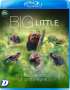 : Big Little Journeys (2023) (Blu-ray) (UK Import), BR