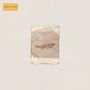 Text „FRIEND WORD“ auf gelbem Hintergrund; ein Fossil eines Fisches auf beigem Papier., CD