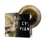 Cover mit Text "DAVID SYLVIAN" und "the distance between the killer and the killing". Daneben eine Vinyl-Schallplatte., CD