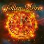 Fallen Arise: Enigma, CD