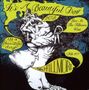 It's A Beautiful Day: Live At The Fillmore West 1971, 2 CDs, 2 CDs